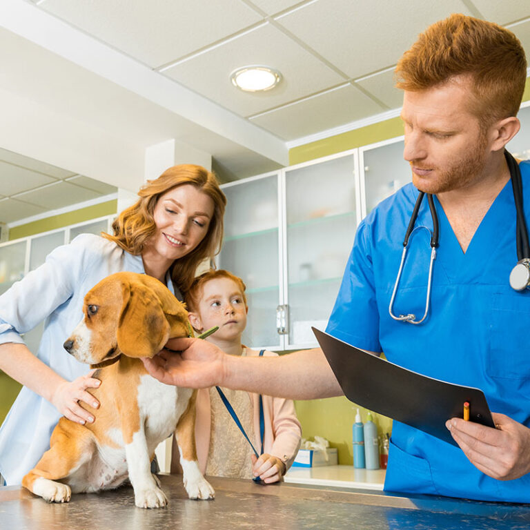 Veterinary clinical communication skills - In-Communication